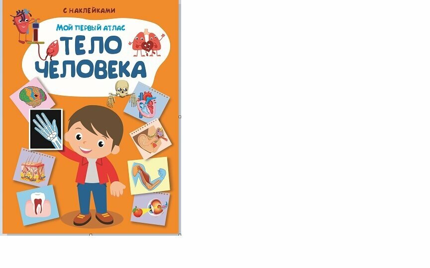 Мой первый атлас Тело человека - фото №12