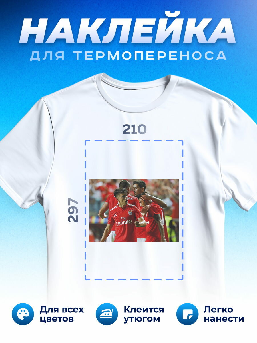 Термонаклейка для одежды наклейка Benfica Бенфика_0012
