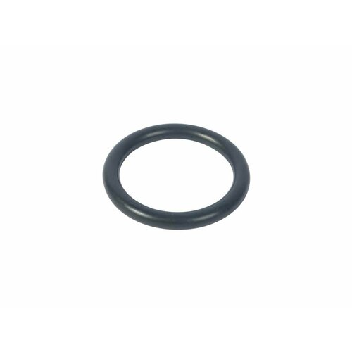 Кольцо уплотнительное МАЗ-5440 030-038-46 (Автокомпонент)