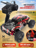 Радиоуправляемый монстр Remo Hobby RH1631 V2.0 4WD RTR масштаб 1:...
