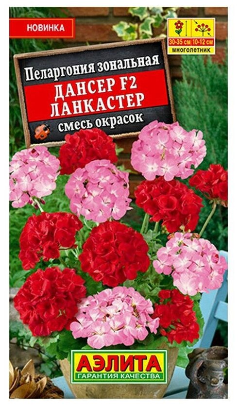 Семена цветов Пеларгония "Дансер Ланкастер", смесь окрасок, F2, 5 шт.