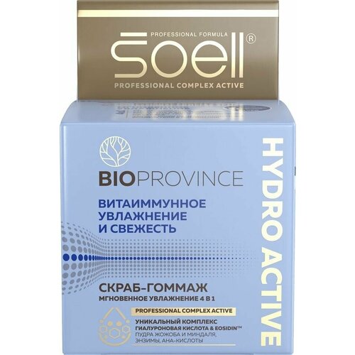 Скраб-гоммаж для лица Soell BioProvince Hydro Active 100мл х1шт скраб гоммаж soell bio province hydro active scrub gommage 100 мл