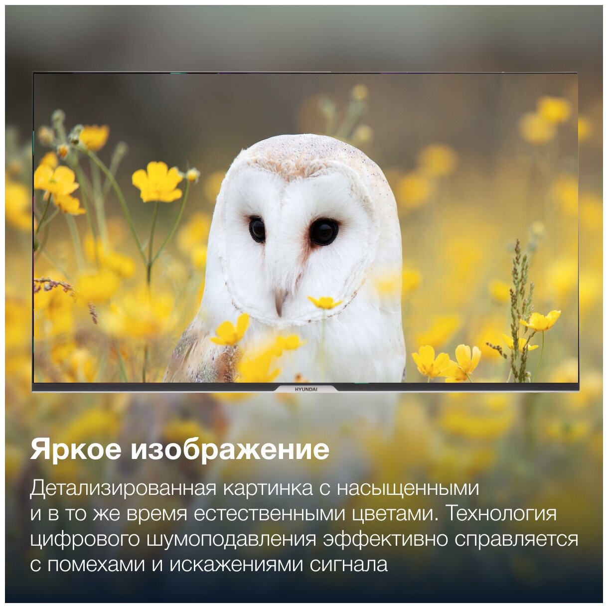 Телевизор Hyundai Яндекс.ТВ H-LED55BU7003, 55", LED, 4K Ultra HD, черный - фото №10