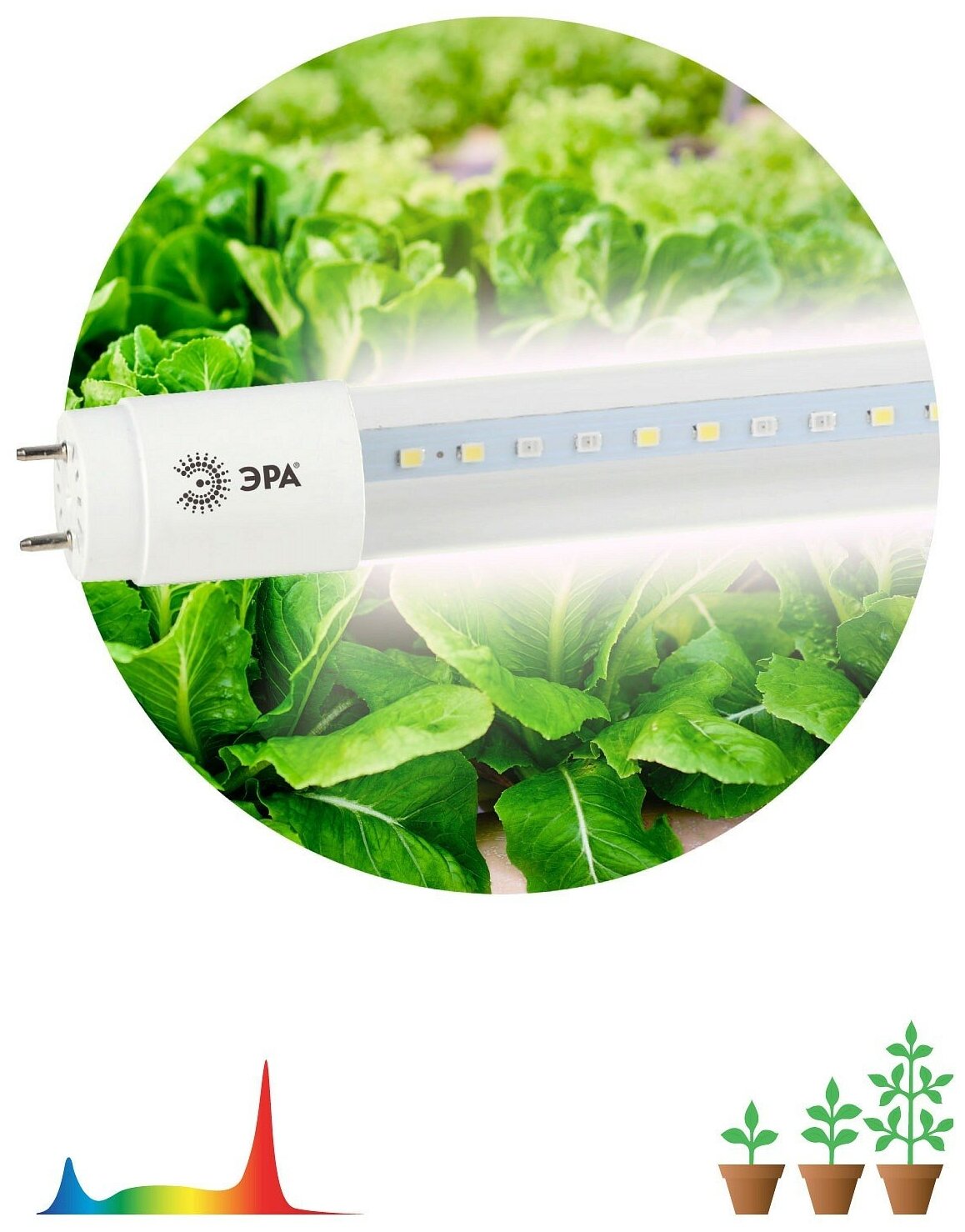 Лампа для растений Эра FITO-18W-Ra90-Т8-G13-NL
