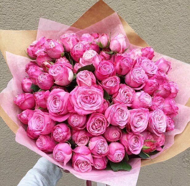 Букет Розы пионовидные кустовые розовые 51 шт, красивый букет цветов, шикарный, цветы премиум, роза.