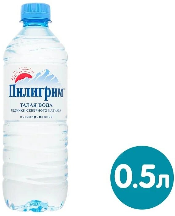 Минеральная вода Пилигрим 12 штук по 0,5 л, питьевая, негазированная, пэт
