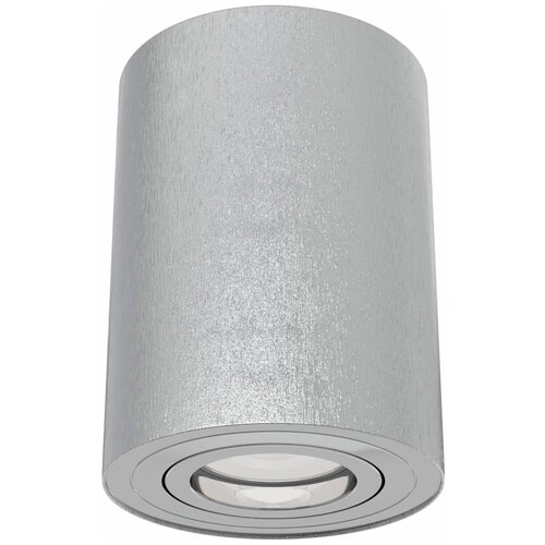 Накладной светильник MAYTONI ALFA C016CL-01S 1*50W GU10 серебро
