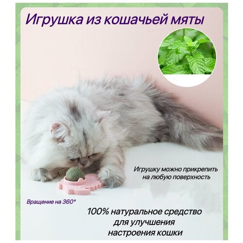 Игрушка для кошек из натуральной кошачьей мяты шарик/Мятный мячик/Шар из кошачьей мяты розовый игрушка для животных keyprods шарик разноцветный