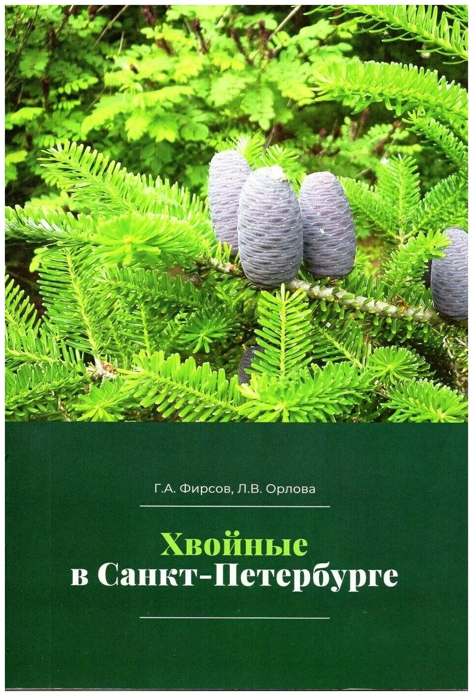 Хвойные в Санкт-Петербурге (Фирсов Геннадий Афанасьевич, Орлова Лариса Владимировна) - фото №1