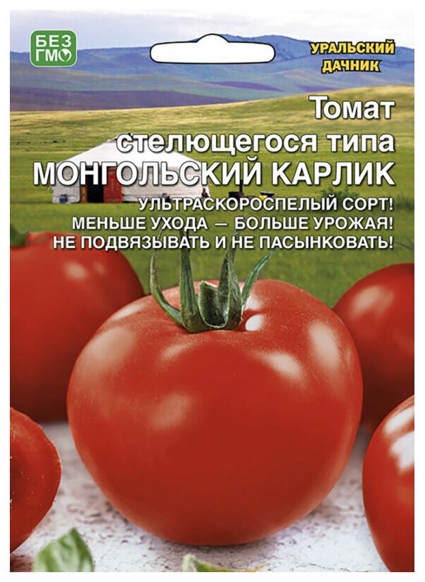 Купить Семена Монгольский Карлик Интернет Магазин