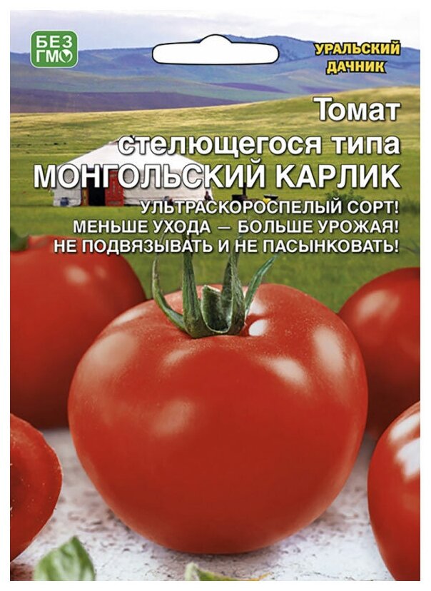 Семена Уральский дачник Томат Монгольский карлик стелющегося типа 20 шт.