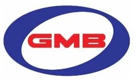 GMB 0204-0519 Рычаг подвески