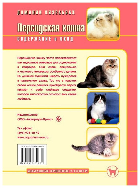Персидская кошка. Содержание и уход - фото №2