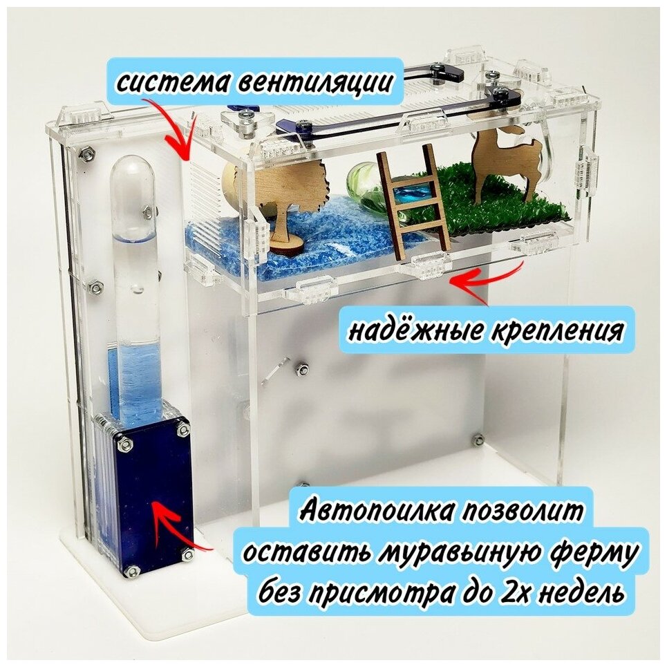 Вертикальная муравьиная ферма "Космос" XL 17х19см Большой набор - фотография № 4