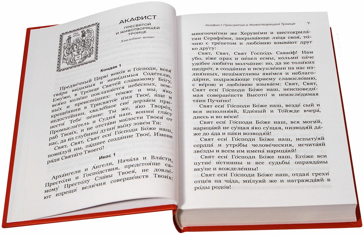 Акафистник для чтения в различных нуждах - фото №3