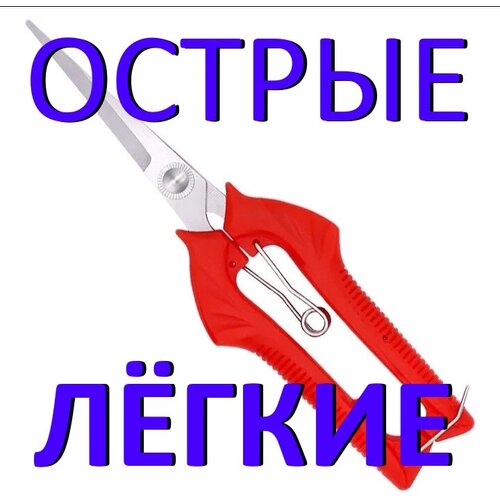 Ножницы садовые для травы, ножницы для цветов и зелени, секатор садовый кусторез