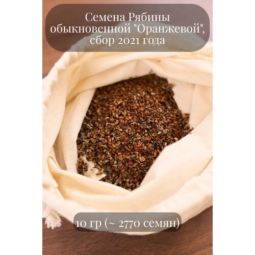Семена Рябины обыкновенной Оранжевой, 10 грамм (примерно 2500 шт)