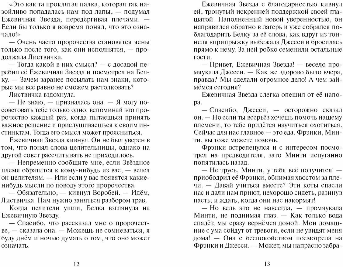 Книга Гроза Ежевичной Звезды. Вода и кровь - фото №3