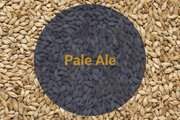 Солод Bestmalz "Pale Ale, 5-7 EBC" (Пейл Эль), Германия, 1 кг, С помолом.