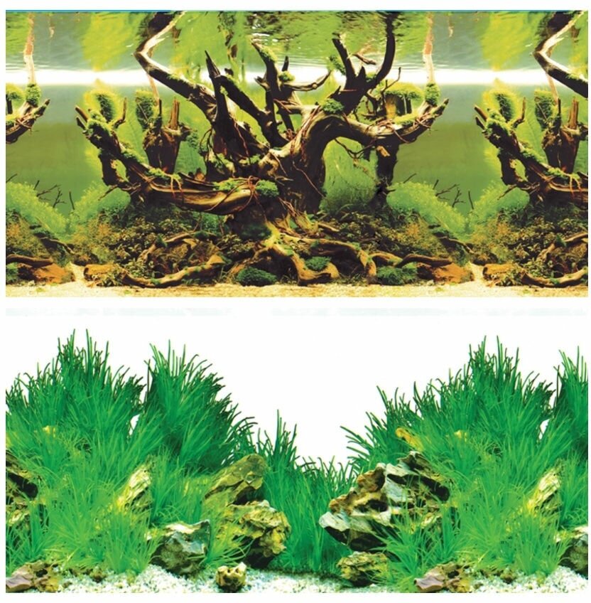 фото Фон Laguna Aqua для аквариума двухсторонний 50х100 см "Таинственный лес/Новое утро"