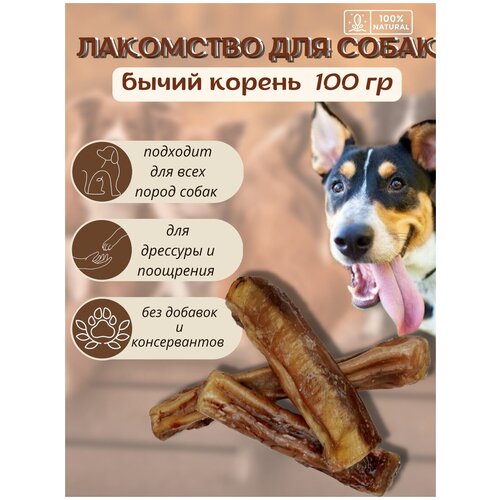 Бычий корень для собак/ 10-15 см