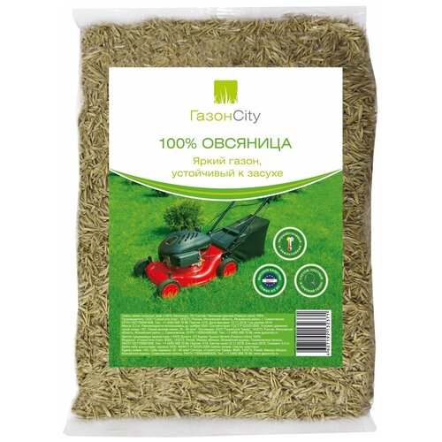 Семена ГазонCity Овсяница 100% Яркий газон, 0.3 кг, 0.3 кг