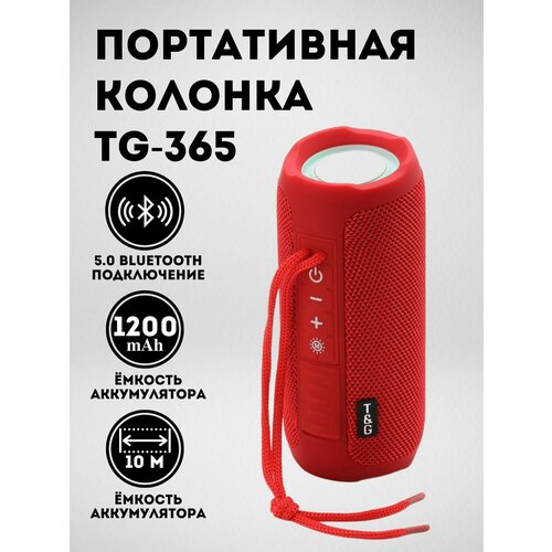 Портативная акустическая система, Bluetooth колонка T &G TG-365