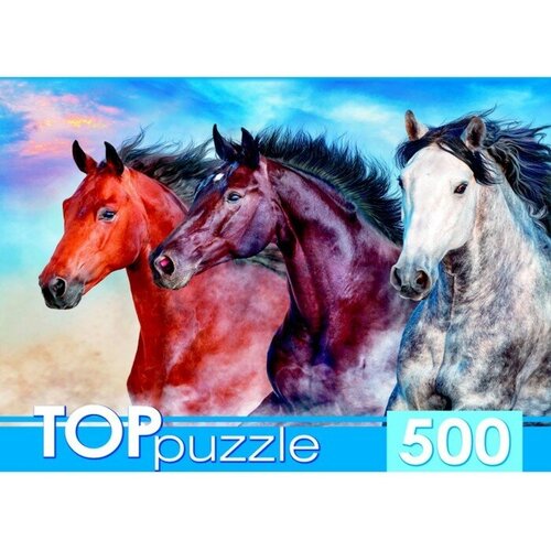 Пазл TOP Puzzle 500 деталей: Тройка диких скакунов