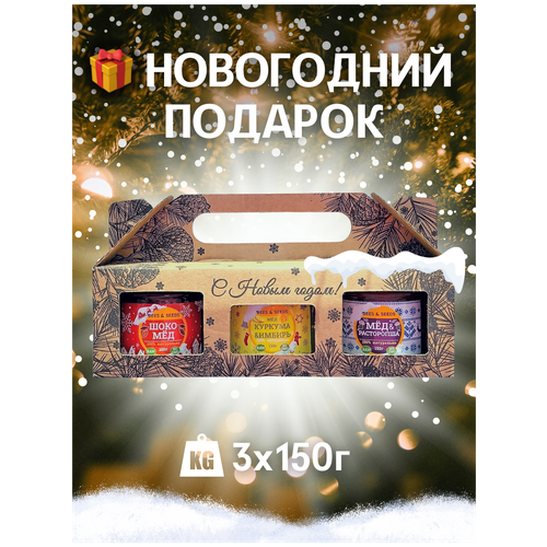 Набор мёда Новогодний: Мед и Куркума, ШокоМёд, Мёд и Расторопша - 3 по 150 г