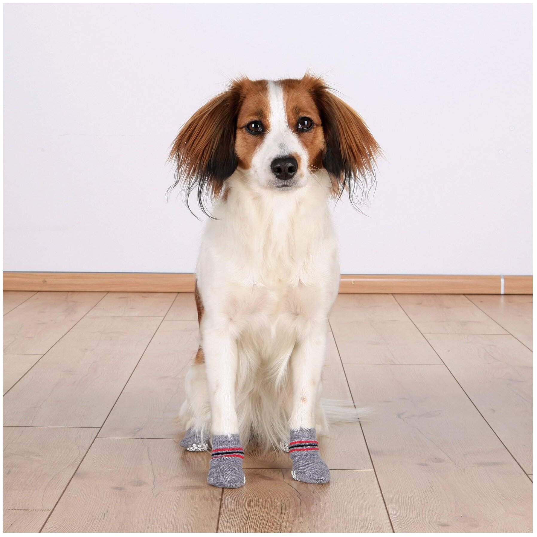 носки для собак Trixie Носки хлопок серый s-m - фото №5