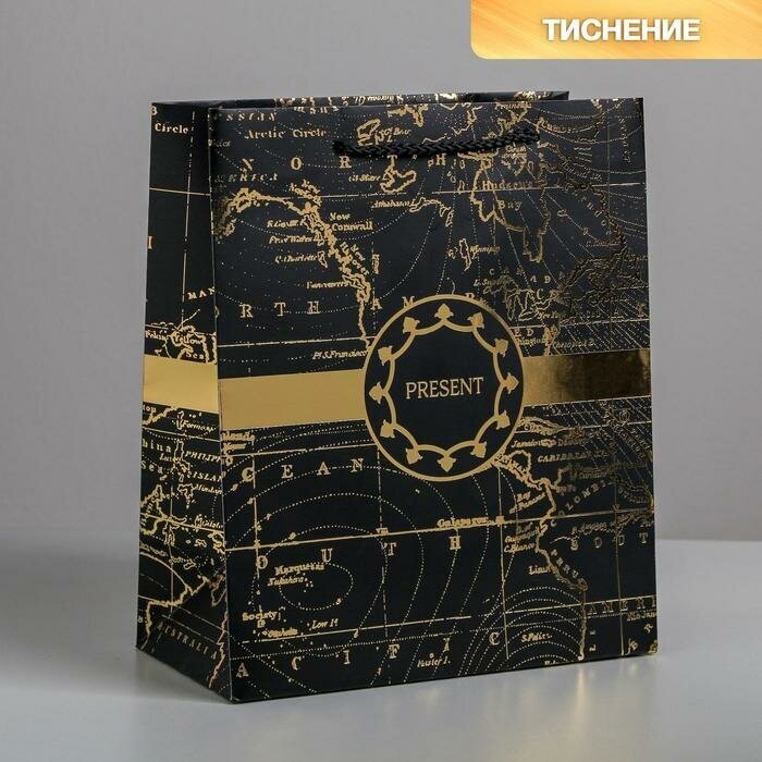 Дарите Счастье Пакет подарочный ламинированный вертикальный, упаковка, Gold present, ML 23 х 27 х 11,5 см