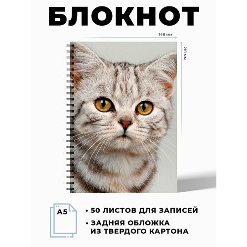 Тетрадь в клетку Милые котики