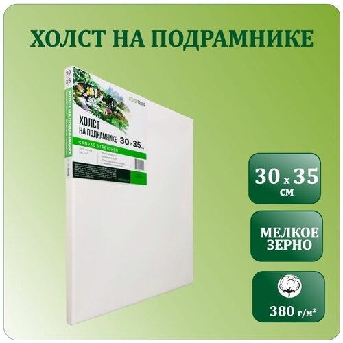 Грунтованный холст на подрамнике, размер 30х35 см, Хоббитания, хлопок 380 гр/м2, холст для акриловой и масляной живописи, мелкое зерно