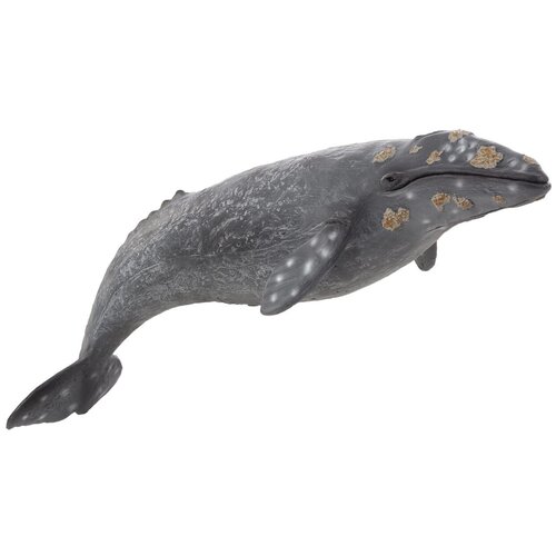 Фигурка Mojo Sealife Серый кит 387280, 5.5 см 381024 фигурка mojo animal planet маньчжурозавр deluxe ii