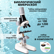 Микроскоп пластиковый, Оптический микроскоп, Портативный микроскоп