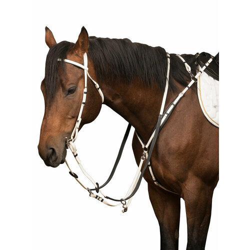 Sweet horse / Сет - оголовье + повод + мартингал для лошадей FULL