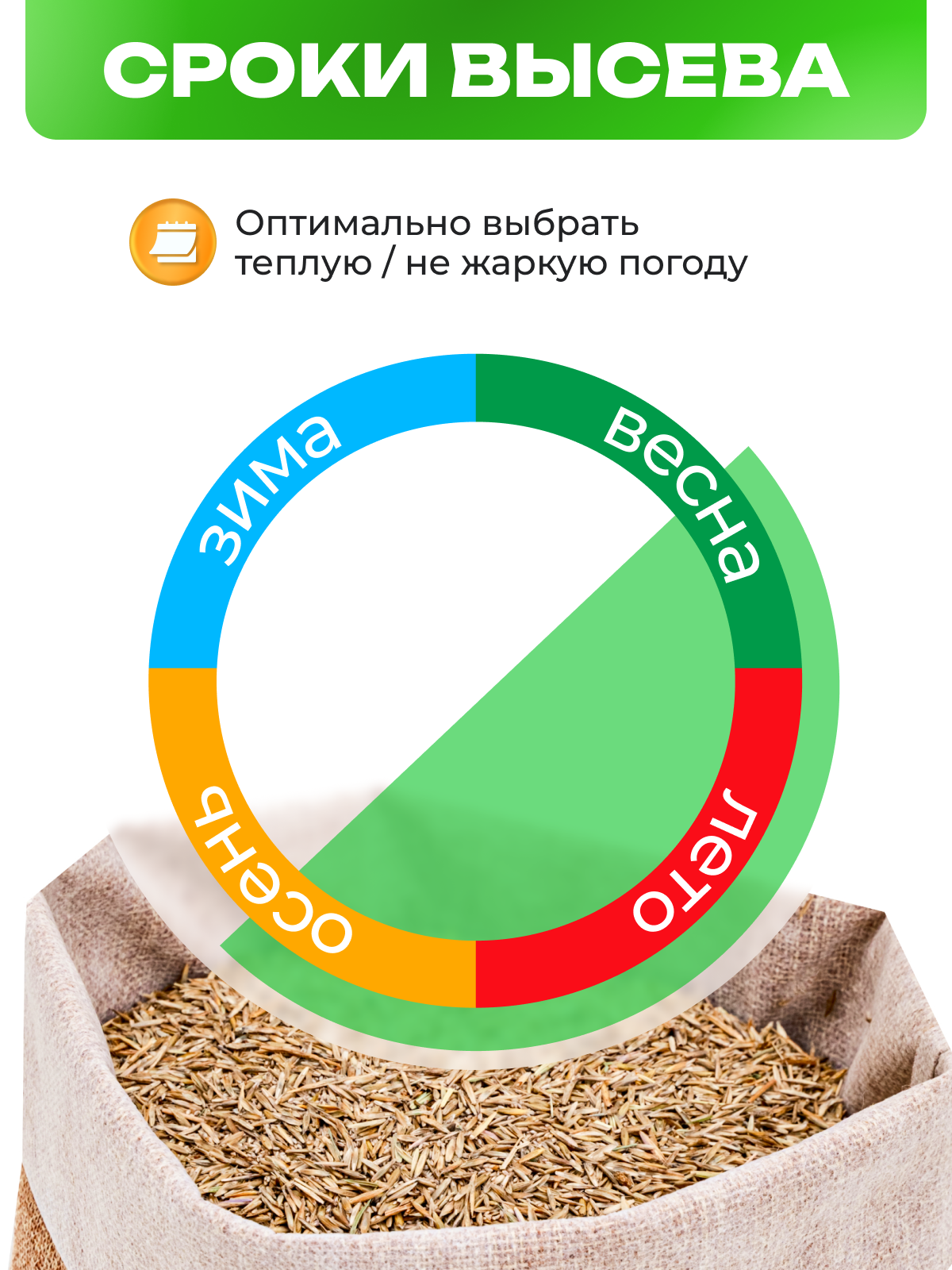 Газон Зеленый уголок Спортивная (семена) спорт. 1000гр - фото №8