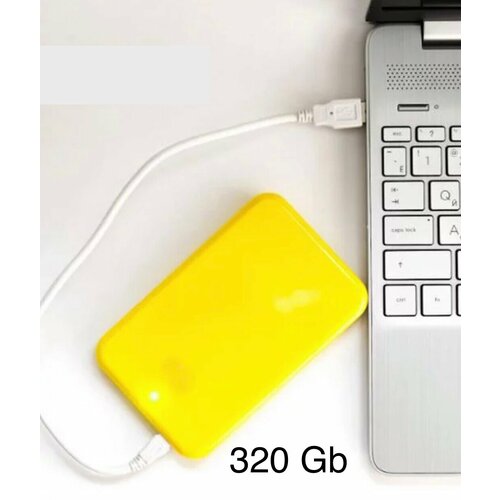 320 Гб Внешний HDD