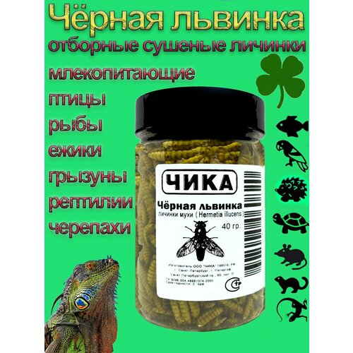 Черная львинка, лакомство для крыс, ежей, черепах и птиц