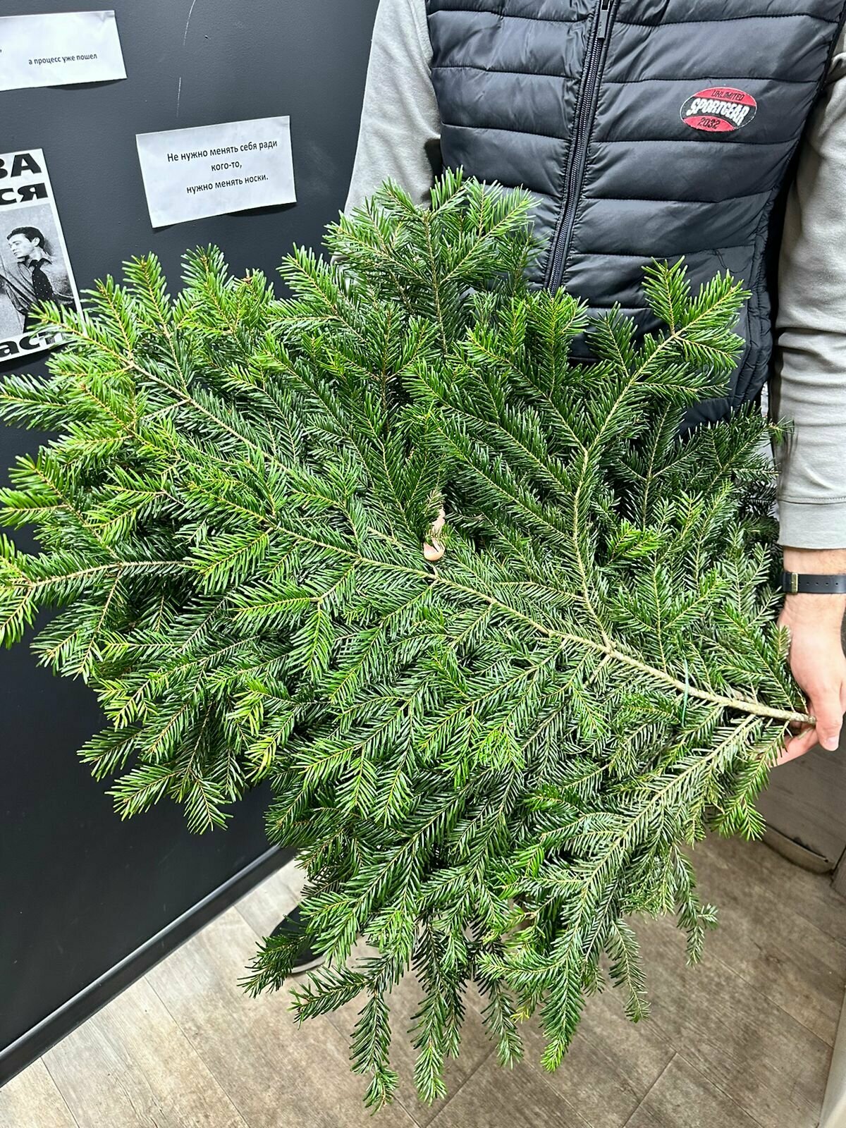 Лапник Demin Flowers , натуральный, 5 веток, 40 см, зеленый с доставкой