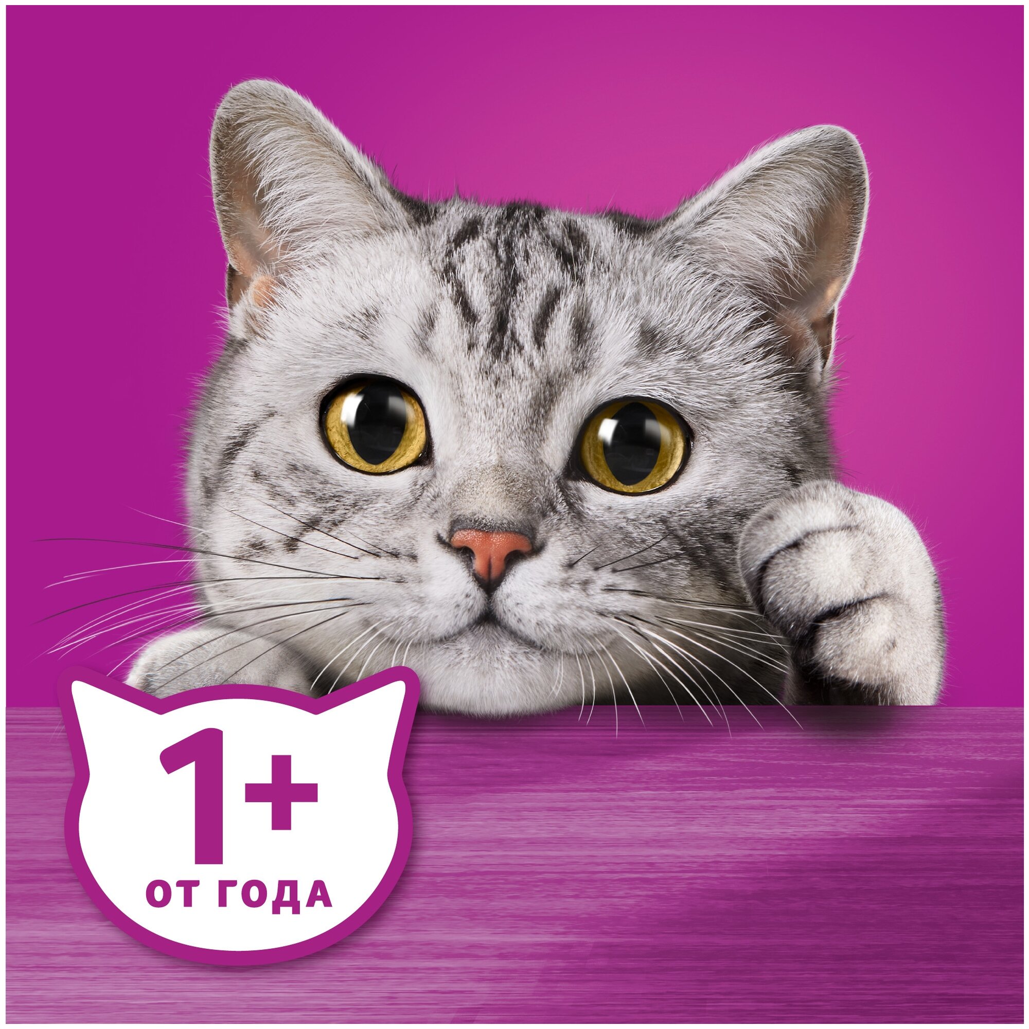 Корм для кошек (желе) Whiskas Говядина/Ягненок 75 г - фотография № 6