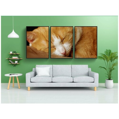 фото Набор модулных постеров для интерьера "кот, спать, красный белый" 60x90 см. в тубусе, без рамки lotsprints