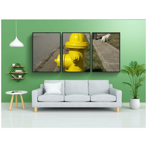фото Набор модулных постеров для интерьера "гидрант, улица, собака" 60x90 см. в тубусе, без рамки lotsprints