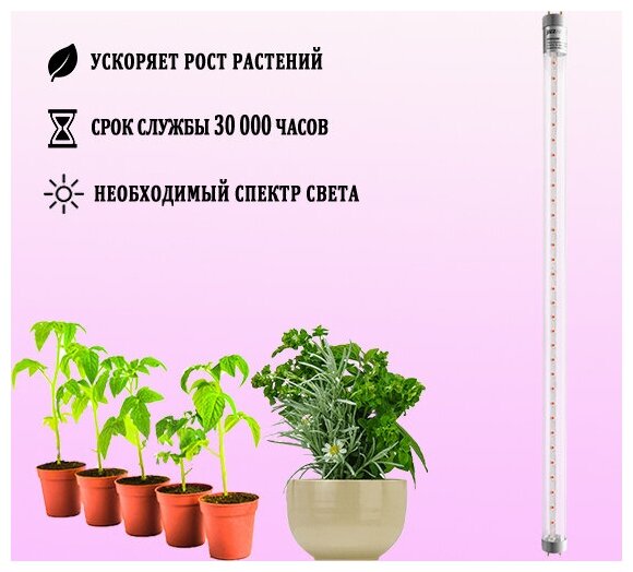 Лампа светодиодная для растений / Линейная лампа для растений, Цоколь: G13 Срок службы до 30 000 часов, PLED T8 600 Agro 8W CLEAR