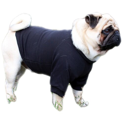 Одежда для животных / Кофта для собак NASKOR, черный, размер M (29)