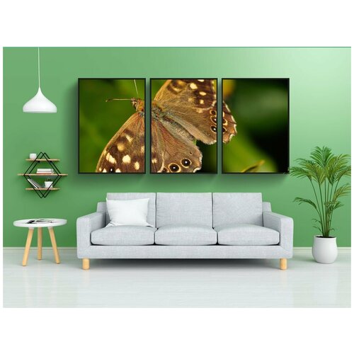 фото Набор модулных постеров для интерьера "крапинку древесины, бабочка, лист" 60x90 см. в тубусе, без рамки lotsprints