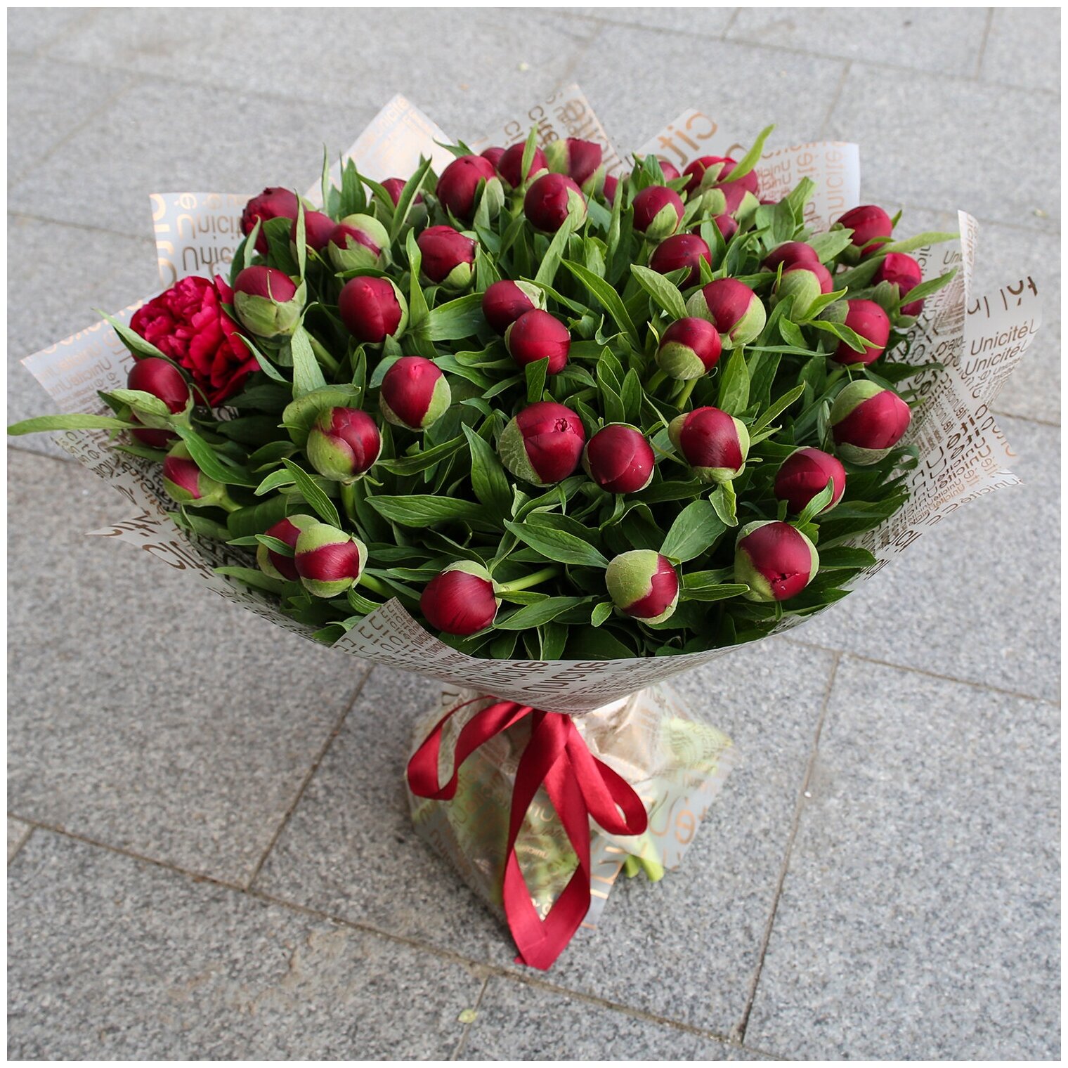 Цветы живые букет из 51 красного пиона в дизайнерской упаковке с атласной лентой