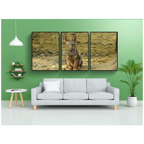 фото Набор модулных постеров для интерьера "волк, зоопарк, щенок" 60x90 см. в тубусе, без рамки lotsprints