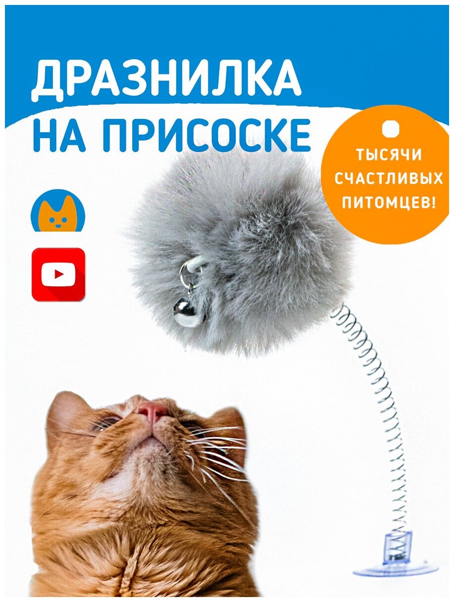 Дразнилка для кошек. Игрушка помпон на присоске для котят - фотография № 1