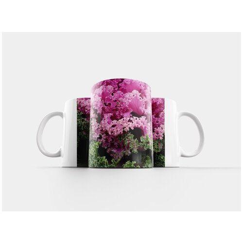 фото Кружка "декоративная капуста, листья, вьющийся" 320 мл lotsprints